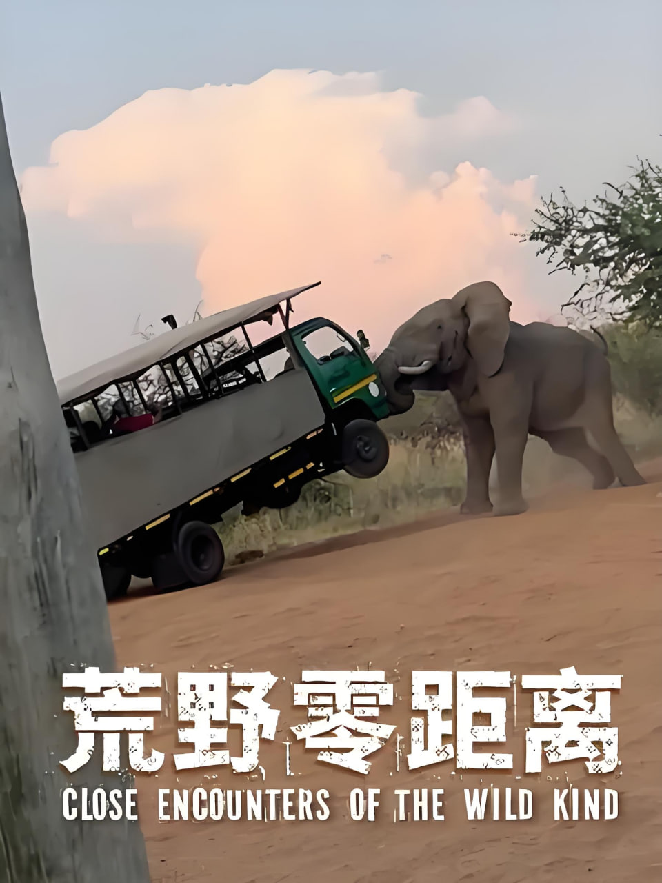 云端冒险家